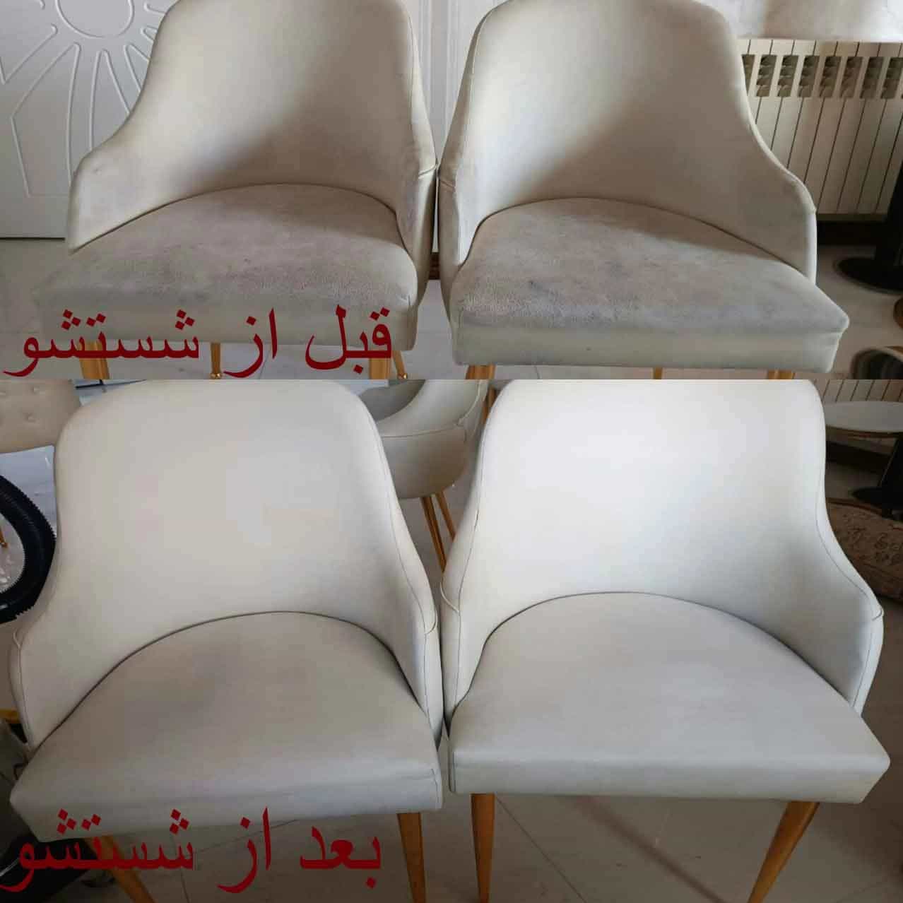 1697263559219.webp