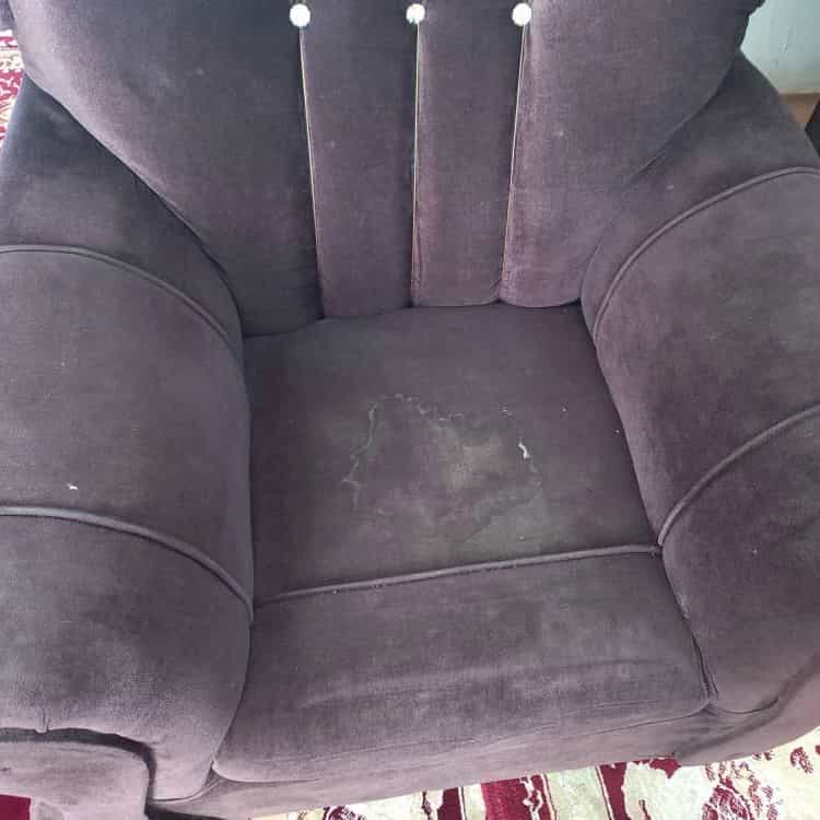 1735104945725.webp